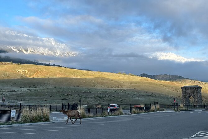 Private Yellowstone Park Van Tours From Bozeman - Pricing and Guarantee