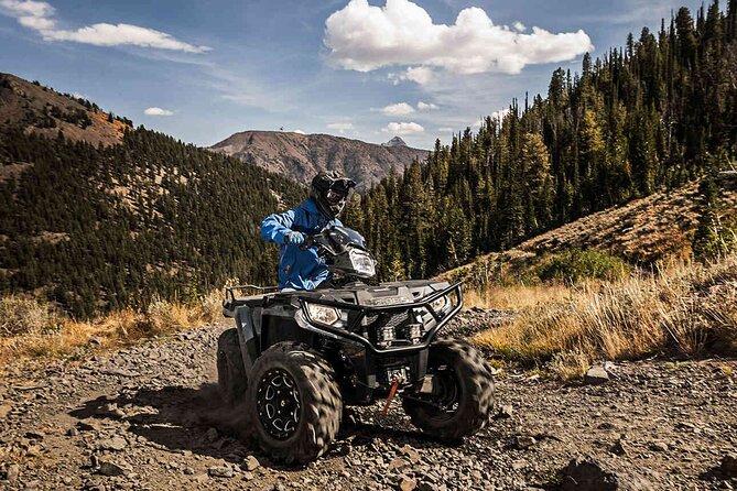Quad Bike Safari in the Wilderness (ATV) - Ask Away