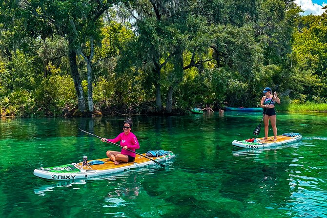 Rainbow Springs Paddle Board Adventure Review - Scenic Paddle Board Experience