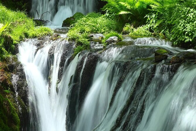 Raizansennyoji Futamigauras Couple Stones Day Tour From Fukuoka - Cancellation and Refund Policy