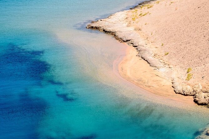 Ras Mohamed National Park Half Day by Bus - Sharm El Sheikh - Accessibility Options