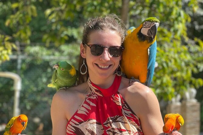 Rastafari Cultural Experience With Herb Garden & Animal Farm Tour - Convenient Pickup and Transportation