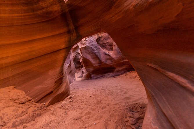 Rattlesnake Canyon Tour - Navigating Health and Safety Requirements