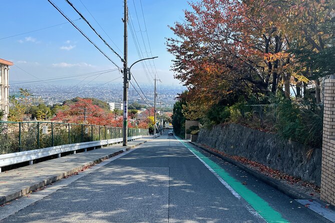 Real-Life Anime Location Visiting in Osaka Private Guided Tour - Pricing