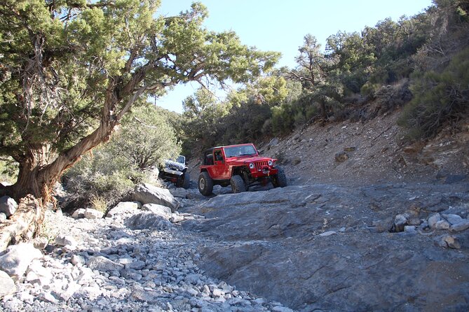 Red Rock Canyon Half Day Jeep Tour Review - Pricing and Reviews