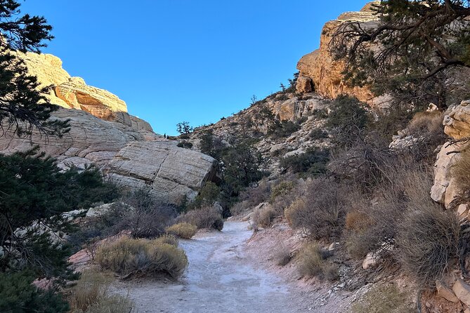 Red Rock Canyon Hiking Adventure Review - Reviews and Feedback