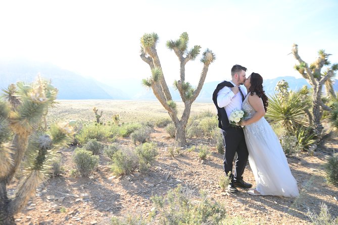 Red Rock Canyon Wedding by Private Limousine - Preparation and Planning