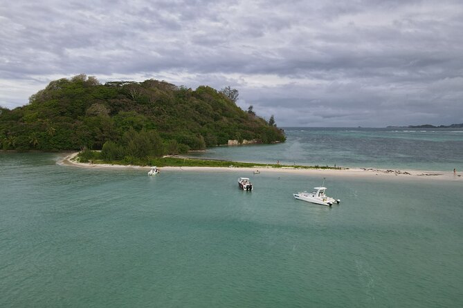 Reef Safari - Snorkeling, Fish Feeding & Lunch (Private Day Trip) - Private Transportation Benefits