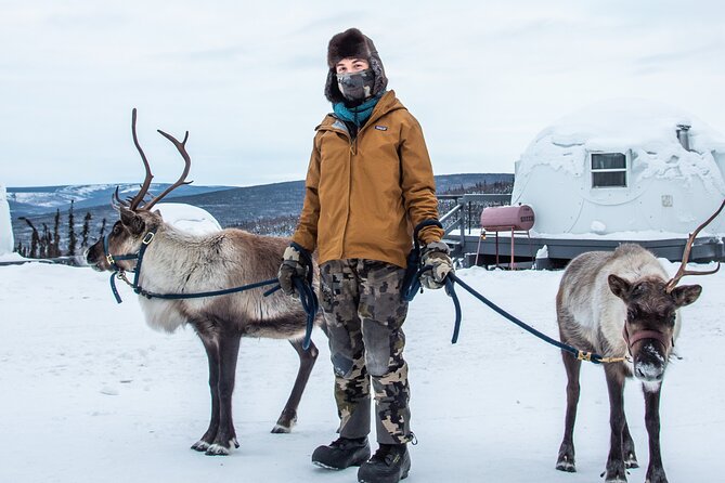 Reindeer and Heli Flightseeing Day Trip With Lunch - Traveler Experiences