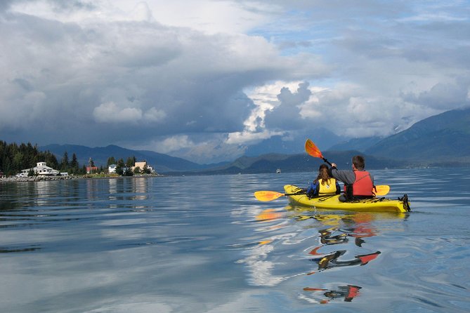 Resurrection Bay Kayaking Adventure - Ideal for Families and Beginners