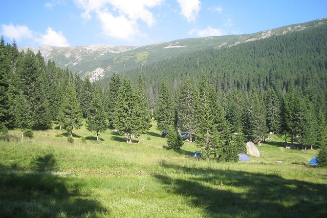 Retezat Mountains Trekking Tour From Cluj-Napoca - Accommodation and Dining