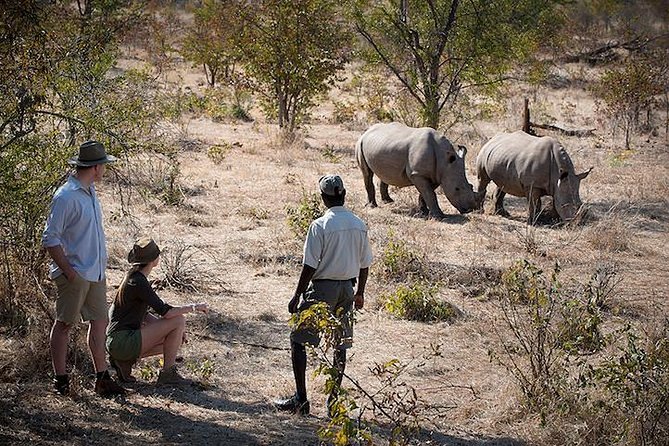 Rhino Walking Safari at Mosi-oa-Tunya National Park - Guide Experience and Feedback