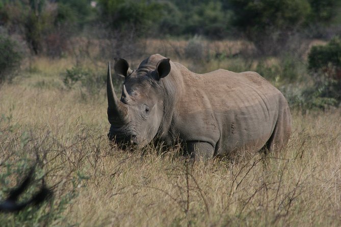 Rietvlei Nature Reserve Half-Day Tour From Pretoria, Every TUESDAY - Pricing and Booking Information