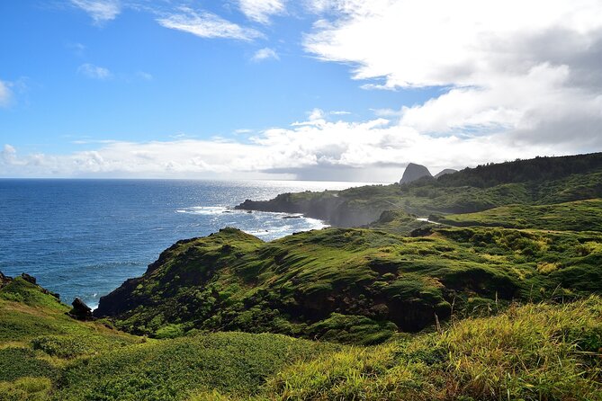 Road to Hana Full Day Tour Review - Tour Guide Highlights