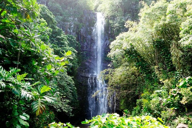 Road to Hana Rainforest, Black Sand Beach, Waterfalls & Lunch - Discovering Waianapanapa State Park