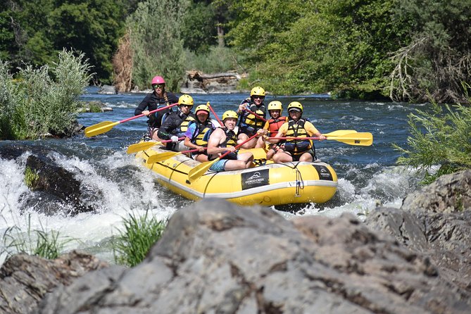 Rogue Valley Rapid Run - Navigating the Rapids