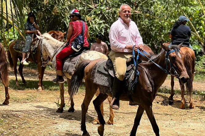 Round Mountain and Horseback Riding From Punta Cana (Half Day) - Pickup and Confirmation