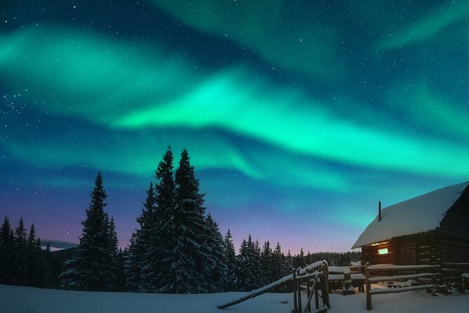 Rovaniemi: Private Aurora Hunting Tour - Reviews and Ratings