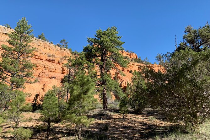 Rubys Horseback Adventures Utah Half Day Ride - Customer Reviews and Experiences