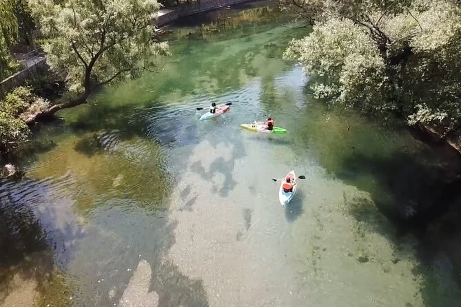 Safari Kayak Adventure W BBQ & Beer - Culinary Highlights