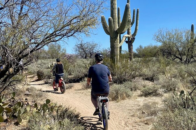 Saguaro National Park East E-Bike Tour - Meeting Point and Time