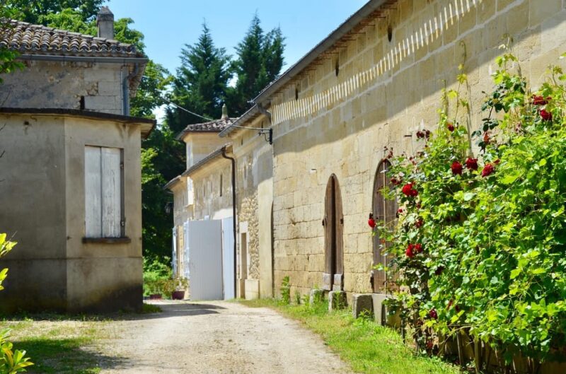 Saint-Émilion E-Bike Tour: Lunch, 2 Tastings & Transfers - Inclusions and Safety