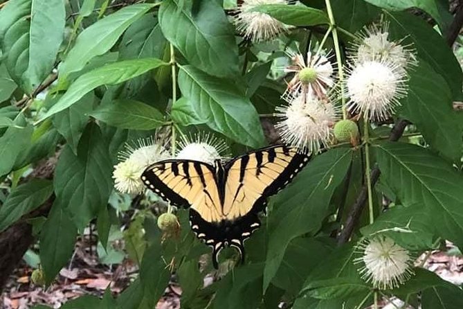 Saint Petersburg Preserve Bike Tour - Reviews and Feedback