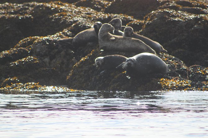 Saltwater Expedition Sightseeing & Wildlife Review - Customer Feedback