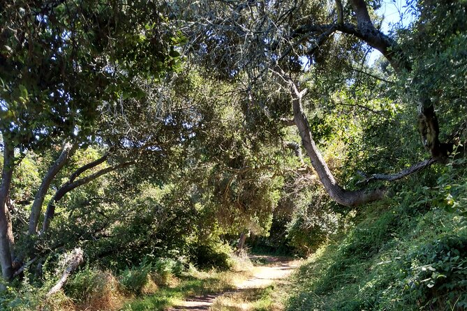 San Francisco E-bike Tour on Scenic Trails Review - Flexible Start Time