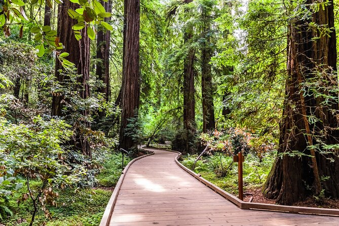 San Francisco, Golden Gate, Sausalito and Muir Woods Private Tour - Reviews