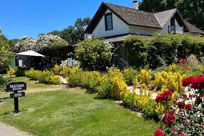 Santa Barbara Wine Country Vineyard & Village Tour - Accessibility and Age Requirements