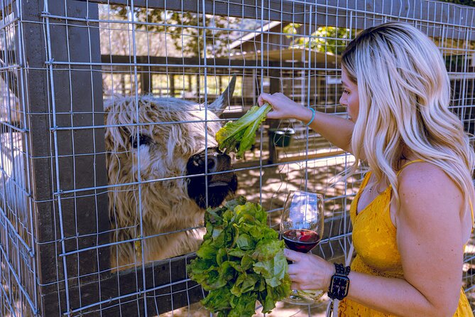 Santa Ynez Wine Tour Includes Tastings, Lunch From Santa Barbara - Tour Policies and Accessibility