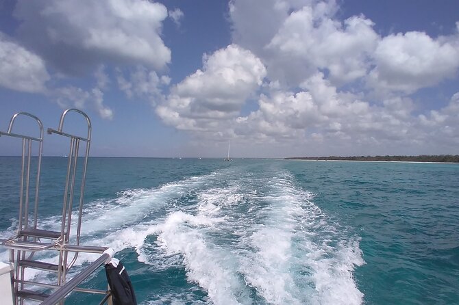 Saona Island Deluxe With Private Transfer (Min 8 People) - Booking Process