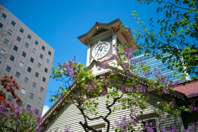 Sapporo Morning Walking Tour - Tour Conditions and Recommendations