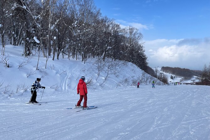 Sapporo Private Ski/ Snowboard Lesson With Pick-Up Service - Instructor and Private Lesson Details