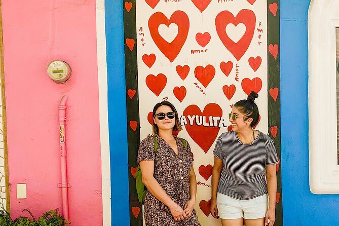 Sayulita City Photo Tour - Accessibility Information