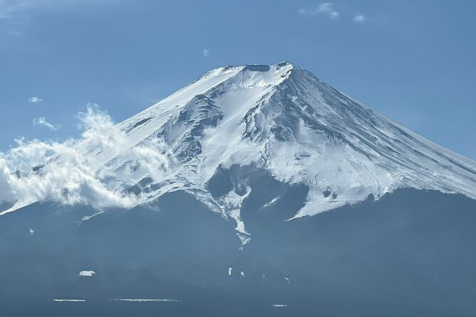 Scenic Day Tour of Hakone and Mount Fuji Private Tour (English) - Customer Feedback