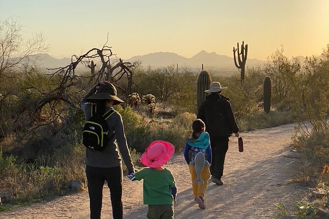 Scottsdale Desert Classic Guided Hiking Adventure - Reviews and Feedback