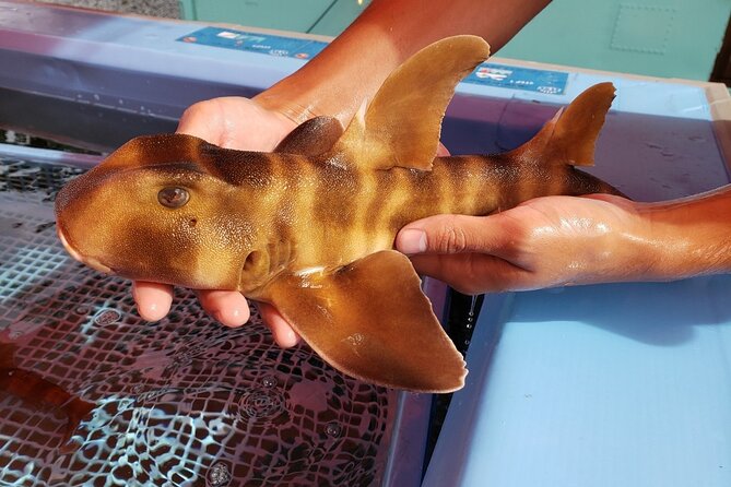 Seawater Fishing Pond and Hamayaki Grill BBQ Experience - Cancellation Policy