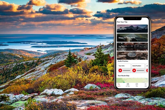 Self-Guided Audio Driving Tour in Acadia National Park - Tour Flexibility and Starting Points