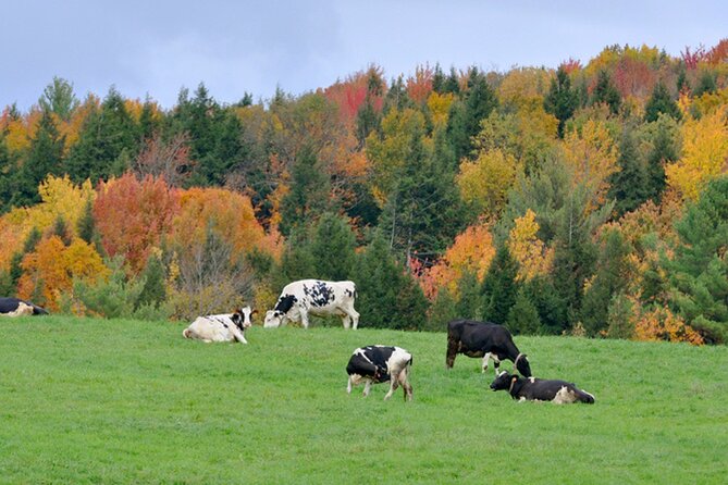 Self-Guided Audio Driving Tour of Vermont, RT100 Scenic Byway - Accessibility and Participation Details