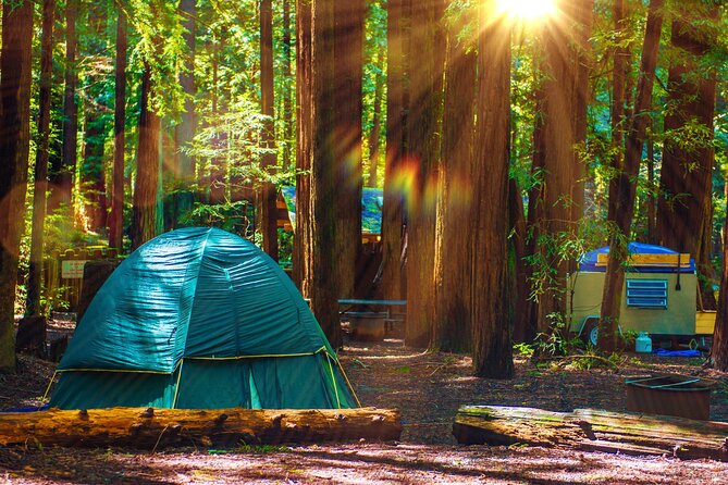 Self Guided Driving Audio Tour of Redwood National and State Park - Exploring the Wonders of Redwood National and State Park