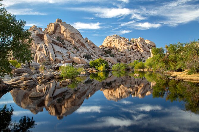 Self Guided Joshua Tree Tour Review - Pricing and Value