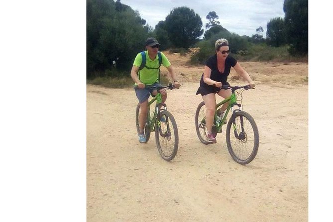 Seville Mountain Bike Tour Dehesa De Abajo Doñana - Health and Safety