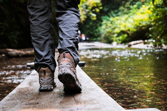 Shaka Guide: Redwood National Park Audio Tour Review - Reliable Customer Support