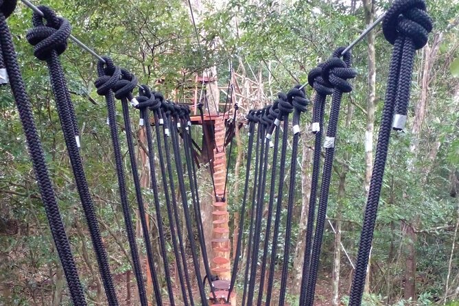 Shared ATVs and Zip Lines and Swimming in a Real Cenote. - Affordable Pricing Structure