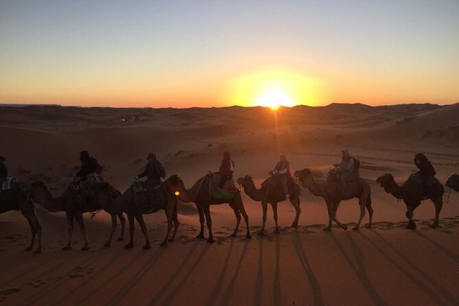 Shared Excursion From Marrakech to Agafay Desert With Dinner and Camel Ride - Booking Information and Pricing