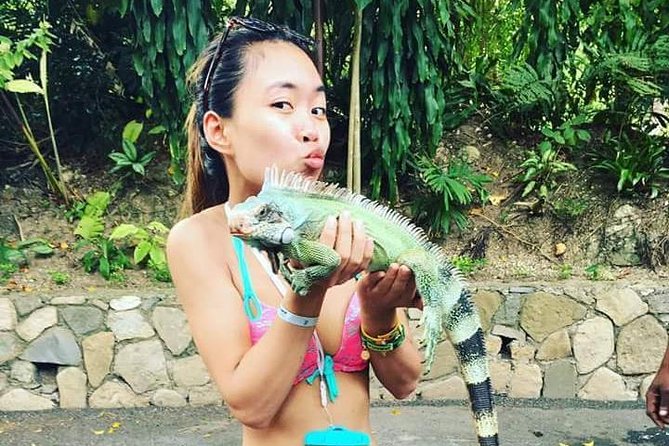 Shared Konoko Falls and Tropical Garden Tour From Ocho Rios - Recommended Preparations