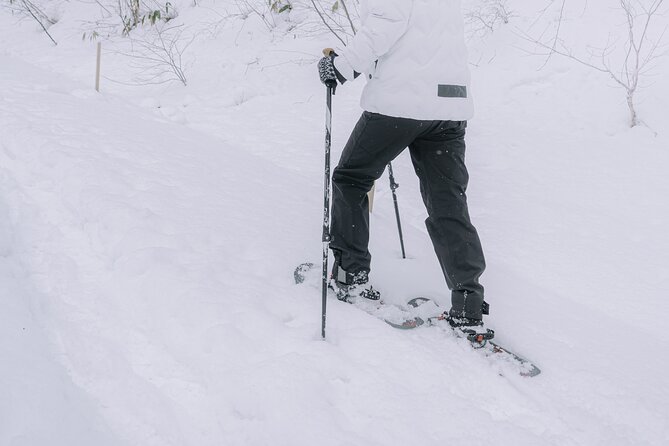 Shared Snowshoe Hiking Tour in Semboku - Reviews and Ratings