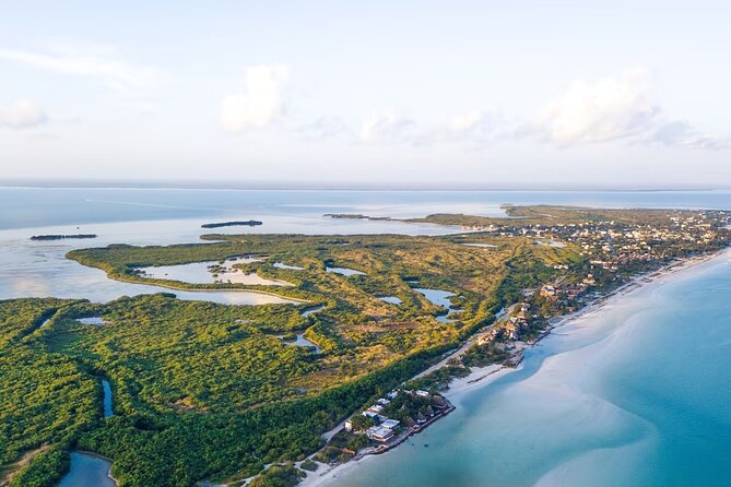 Shared Transfer to Cancun Downtown or Hotel Zone - Operating Hours and Schedule